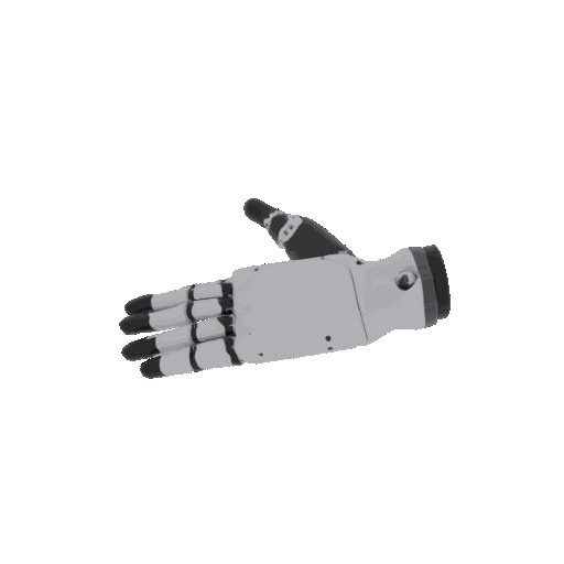 Hand Animation