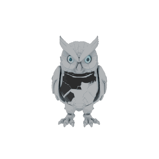 Owl Animation